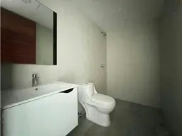 Vista 15