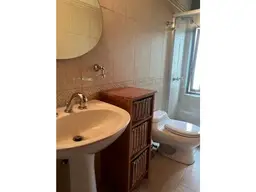 Vista 12