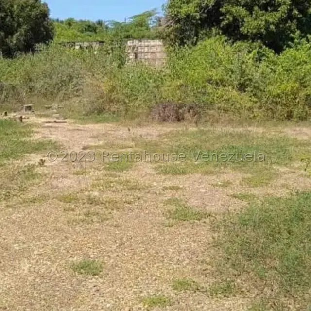 Terreno (Finca) en Venta en Playa Pintada, Miranda - 13
