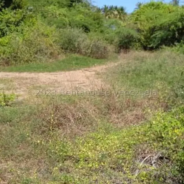 Terreno (Finca) en Venta en Playa Pintada, Miranda - 14