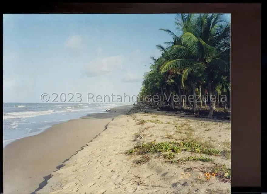 Terreno (Finca) en Venta en Playa Pintada, Miranda - 2