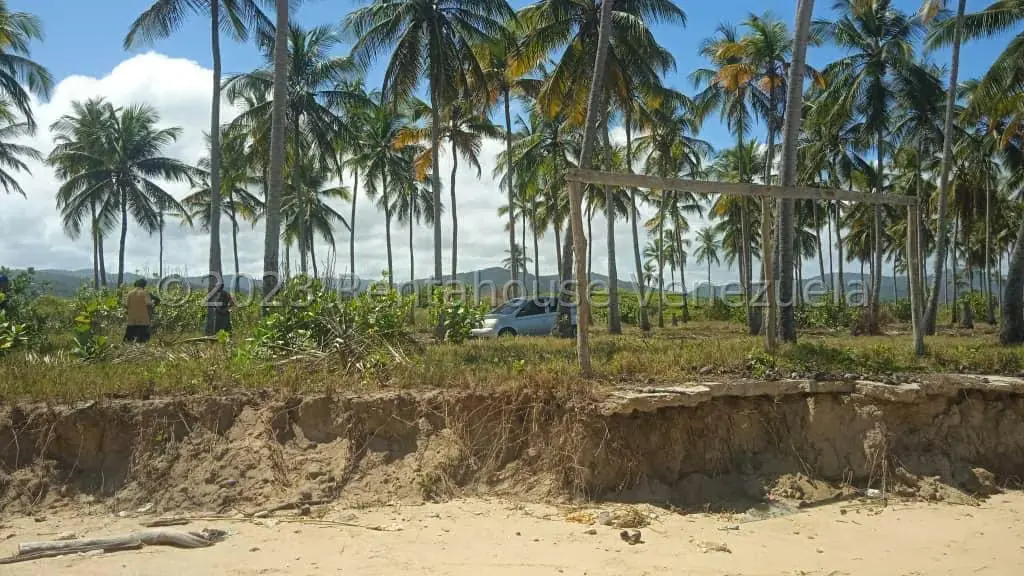 Terreno (Finca) en Venta en Playa Pintada, Miranda - 3