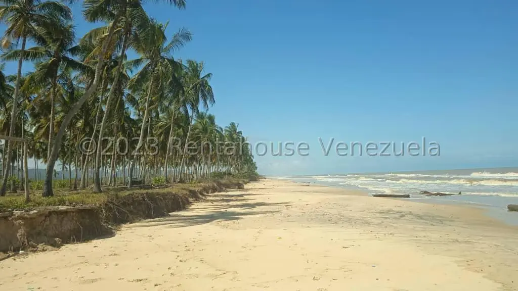Terreno (Finca) en Venta en Playa Pintada, Miranda - 4