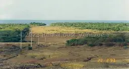 Vista 6