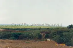 Vista 9
