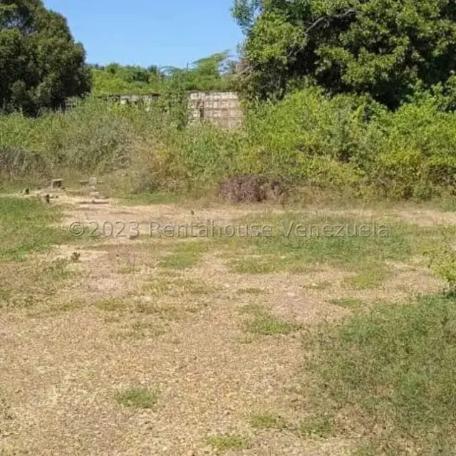 Terreno (Finca) en Venta en Playa Pintada, Miranda - 10
