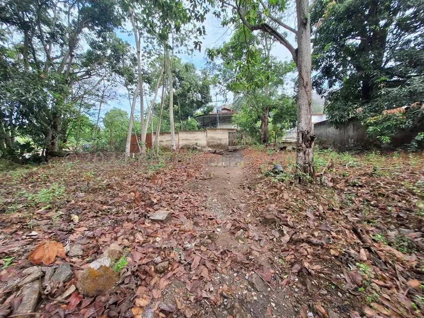 Terreno (Residencial) en Venta en El Castaño (Zona Privada), Aragua - 11