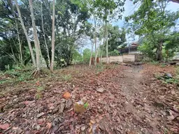 View 12