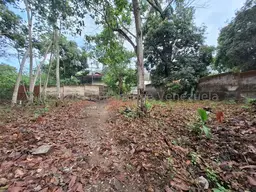 View 13