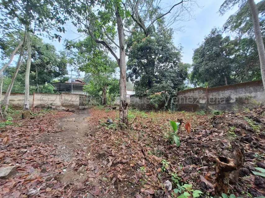 Terreno (Residencial) en Venta en El Castaño (Zona Privada), Aragua - 14