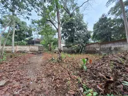 View 14