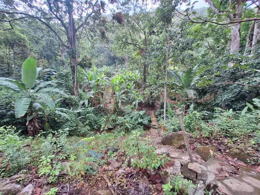 Terreno (Residencial) en Venta en El Castaño (Zona Privada), Aragua - 15
