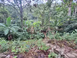 View 15