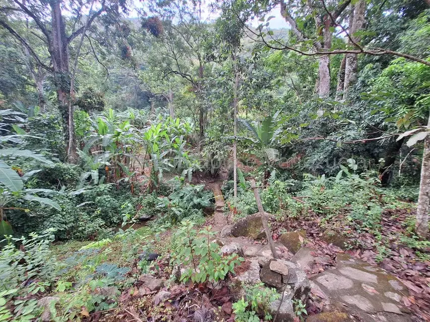 Terreno (Residencial) en Venta en El Castaño (Zona Privada), Aragua - 16