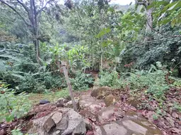 View 17