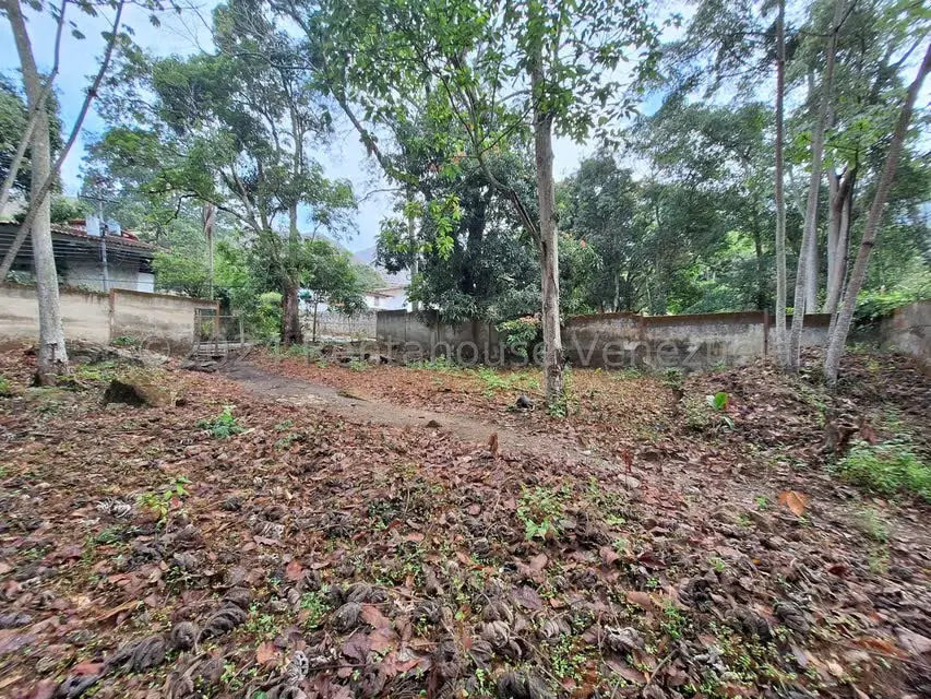 Terreno (Residencial) en Venta en El Castaño (Zona Privada), Aragua - 18