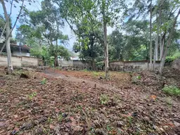 View 18