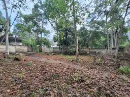 View 19