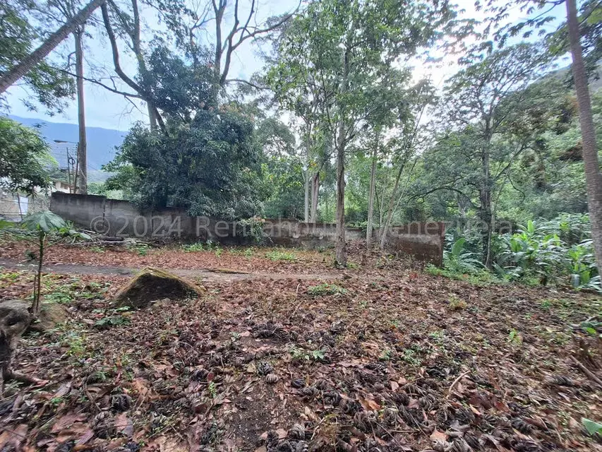 Terreno (Residencial) en Venta en El Castaño (Zona Privada), Aragua - 20