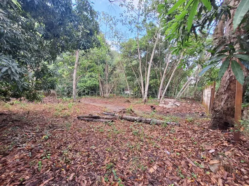 Terreno (Residencial) en Venta en El Castaño (Zona Privada), Aragua - 2