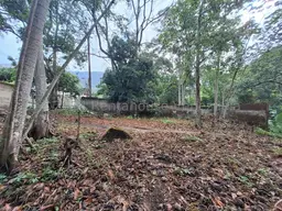 View 21