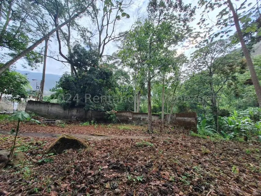 Terreno (Residencial) en Venta en El Castaño (Zona Privada), Aragua - 22