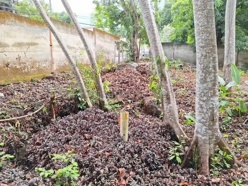 Terreno (Residencial) en Venta en El Castaño (Zona Privada), Aragua - 23