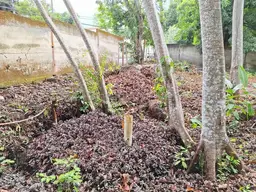 View 23