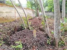 View 24