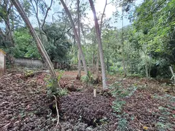 View 25