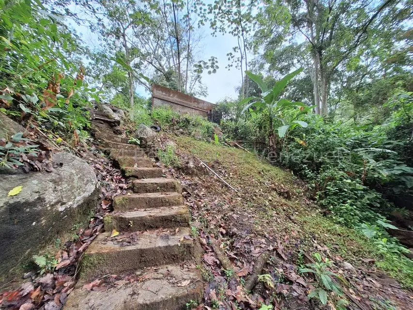 Terreno (Residencial) en Venta en El Castaño (Zona Privada), Aragua - 26