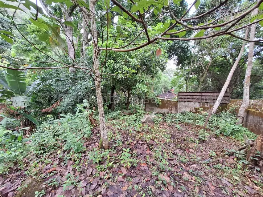 Terreno (Residencial) en Venta en El Castaño (Zona Privada), Aragua - 29