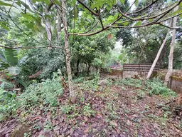 View 29