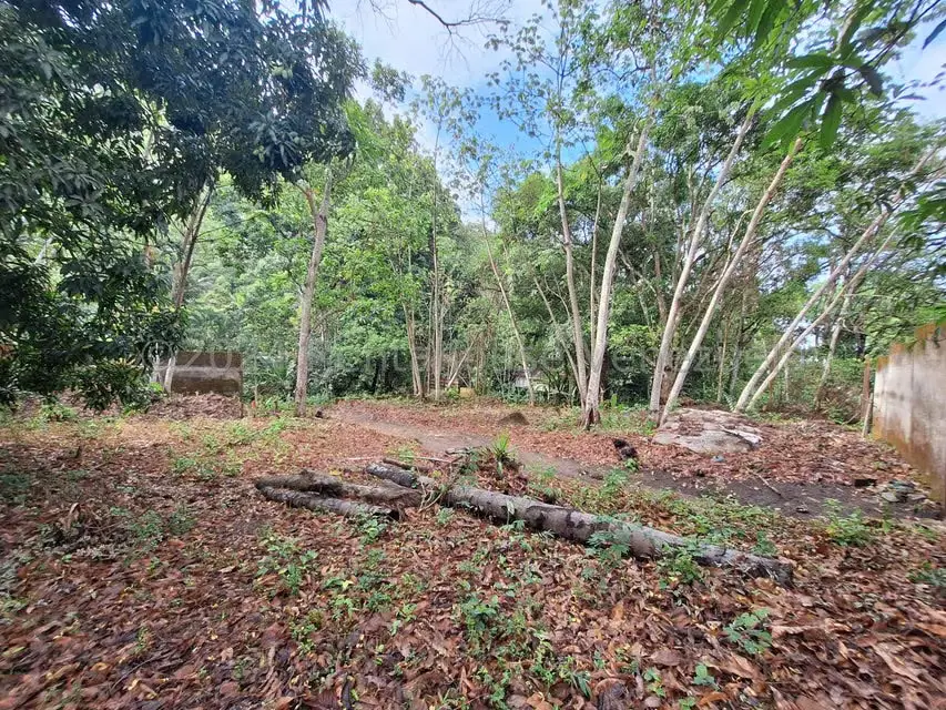 Terreno (Residencial) en Venta en El Castaño (Zona Privada), Aragua - 3