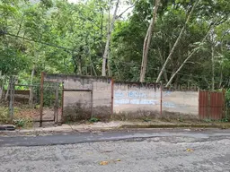 View 32