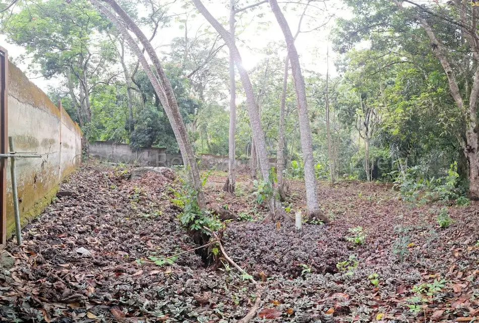 Terreno (Residencial) en Venta en El Castaño (Zona Privada), Aragua - 35