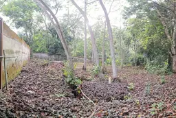 View 35