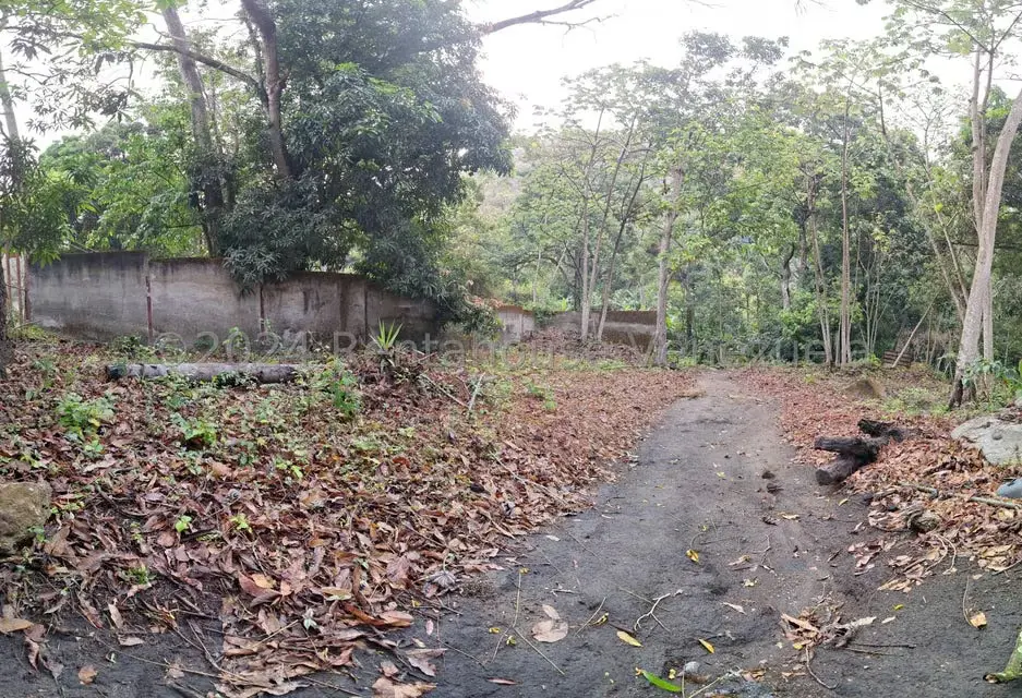 Terreno (Residencial) en Venta en El Castaño (Zona Privada), Aragua - 36