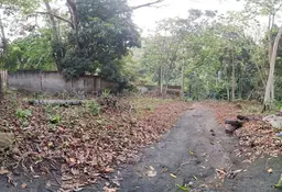 View 36