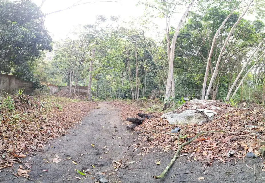 Terreno (Residencial) en Venta en El Castaño (Zona Privada), Aragua - 37