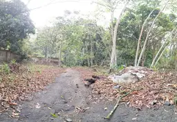 View 37