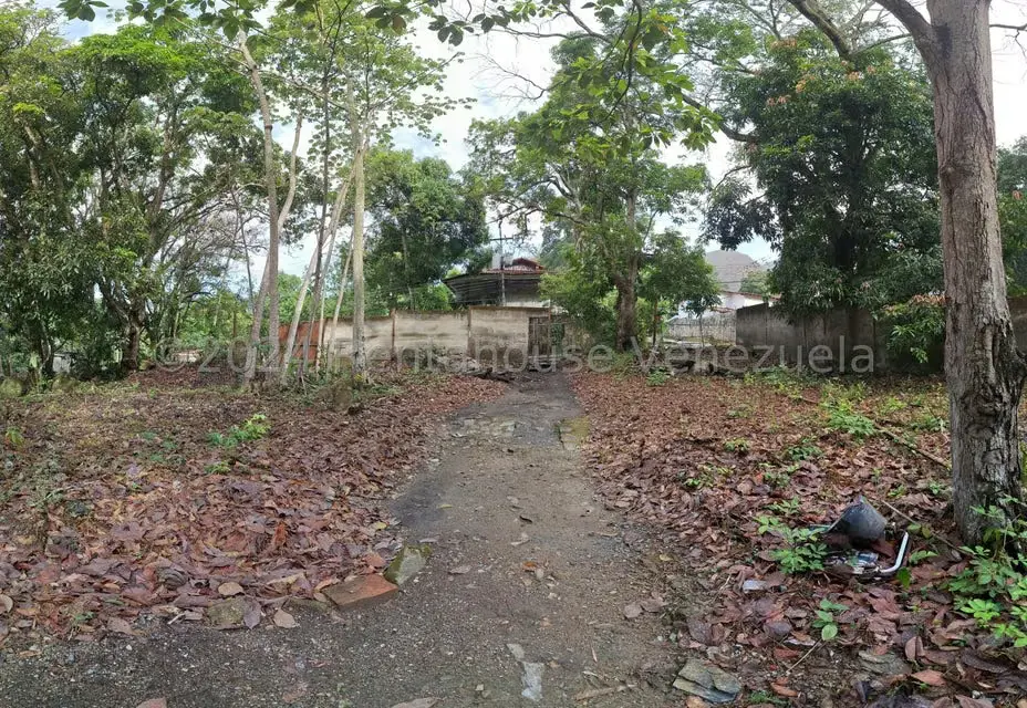 Terreno (Residencial) en Venta en El Castaño (Zona Privada), Aragua - 38