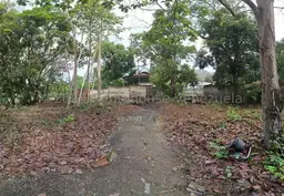 View 38