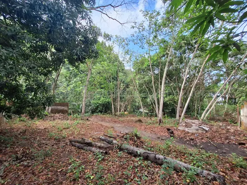 Terreno (Residencial) en Venta en El Castaño (Zona Privada), Aragua - 4