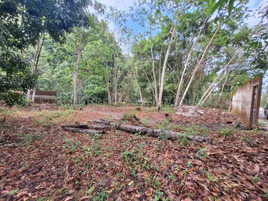Terreno (Residencial) en Venta en El Castaño (Zona Privada), Aragua - 5