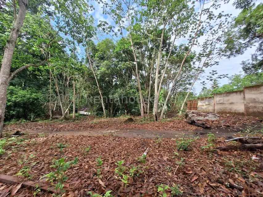 Terreno (Residencial) en Venta en El Castaño (Zona Privada), Aragua - 6