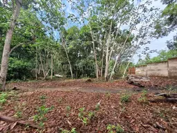 View 7
