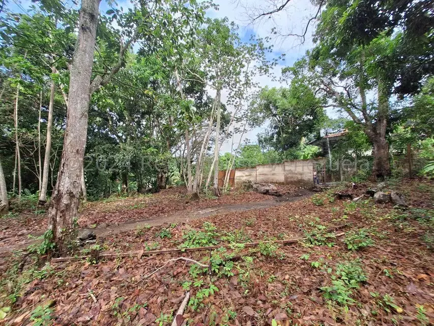 Terreno (Residencial) en Venta en El Castaño (Zona Privada), Aragua - 8