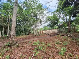 View 8