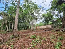 View 9